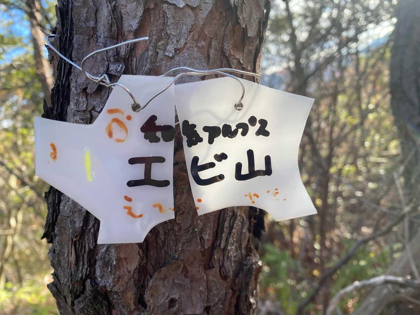 ココ、以前はピーク登録されてなかったと思われます😲
ここら界隈はピーク申請されまくってる方がおられるようです🤭