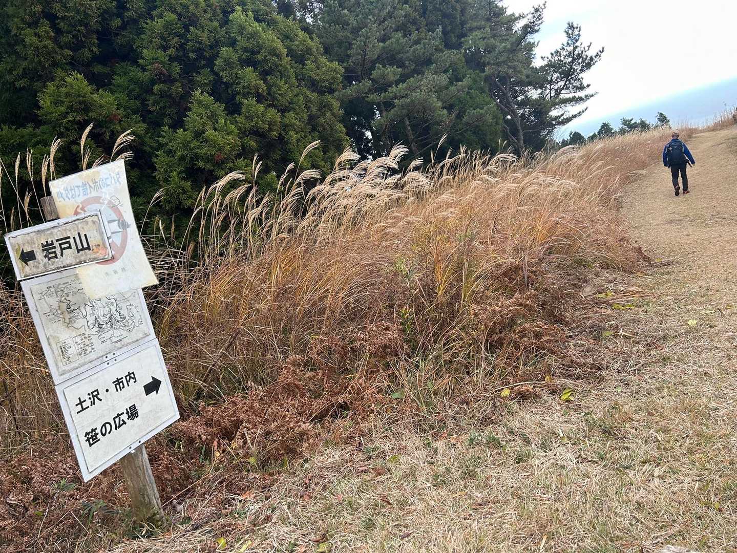 行きに左に曲がった所に戻って来ました。
少し海に向かって歩いてみます。