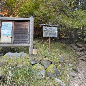 黙々と歩いて登山道抜けました
残るは林道だけ