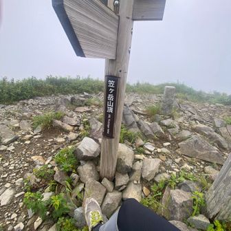 馬蹄の笹漕ぎ対策の新兵器七分丈メッシュタイツの試し履き、いんじゃない？
ガスといっしょに雷も近づいてきた、退散〜