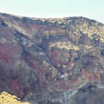 迫力があります‼️