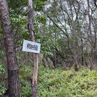 釈迦谷山登頂！大きめのフン💩は何ヤツ⁈