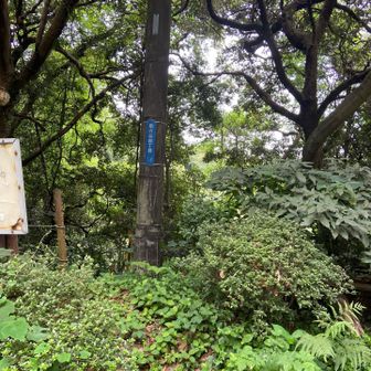 扇ガ谷4丁目
扇ガ谷の谷はやつと読みます。
