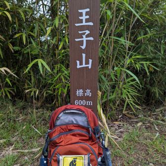 到着！🐻
「山梨にはクマがいます」