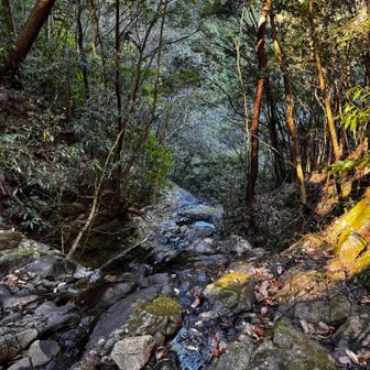 ロープがありますが、滑りやすいので注意