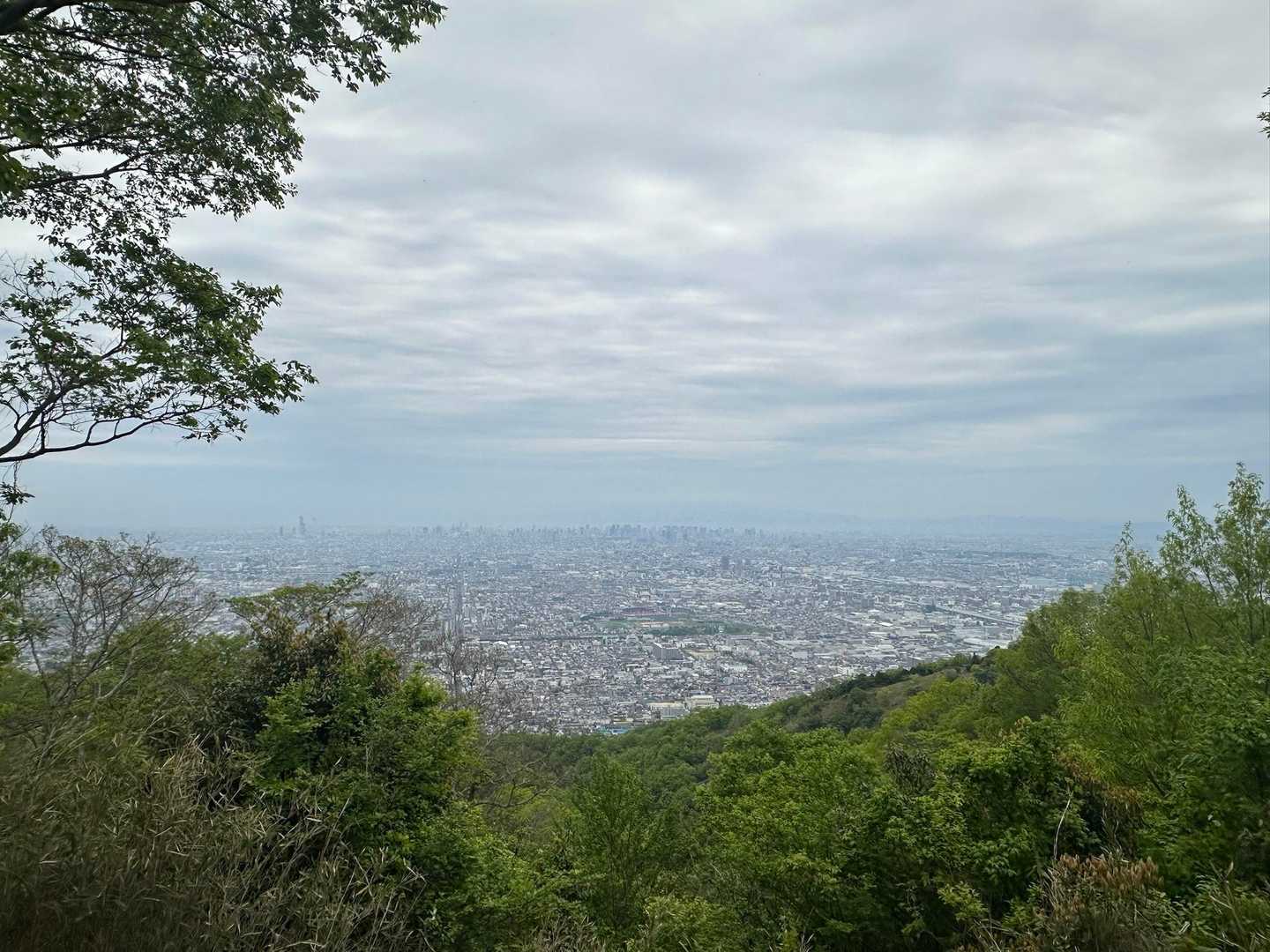 良い景色