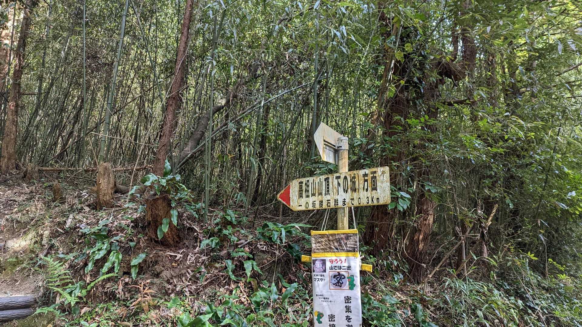 さぁ、のんびり登るか！