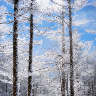 22.舞い散る霧氷

これも好き😊