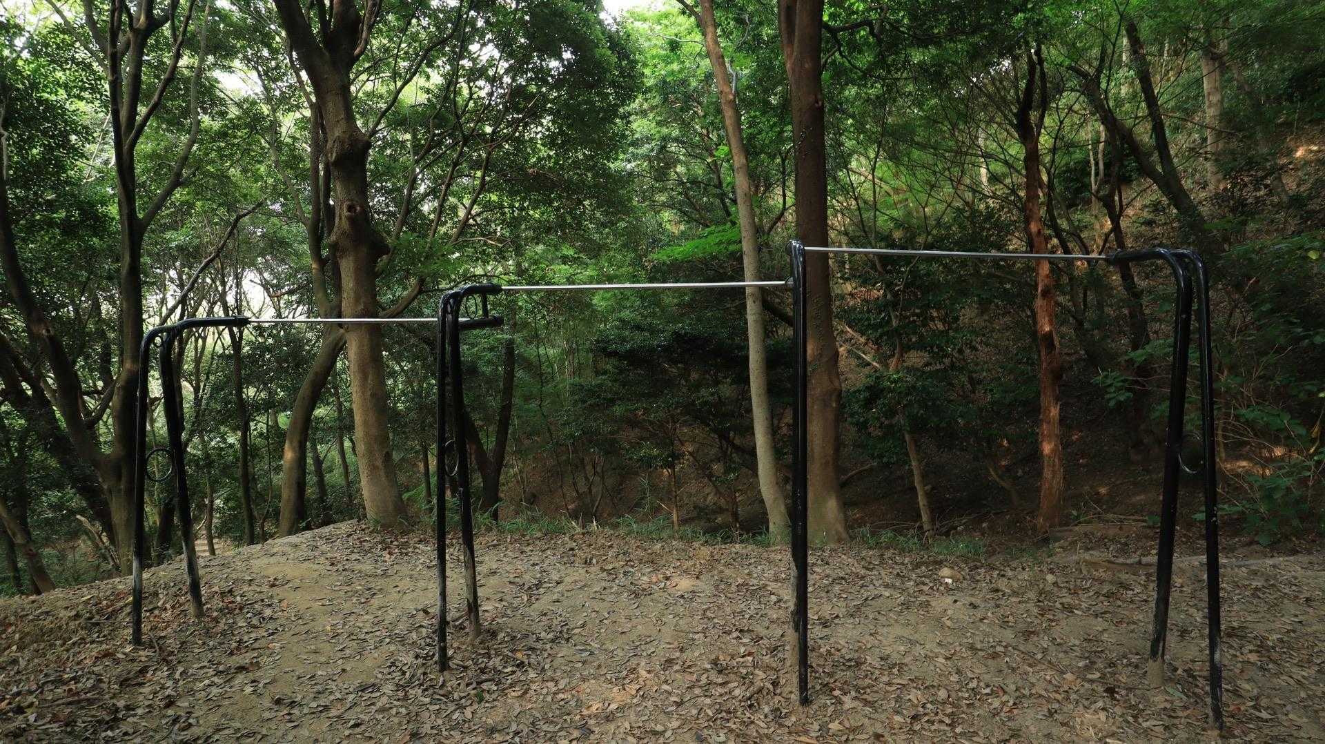 とむねこは懸垂が苦手です‥端から順番に挑戦しました！！！💪