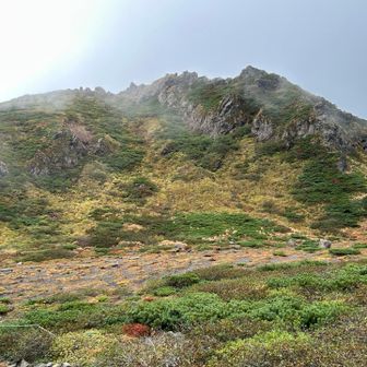 規制がかかっている山