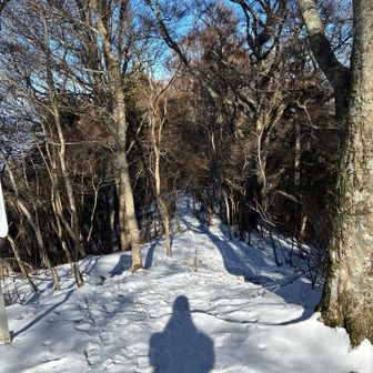 雪が結構あります