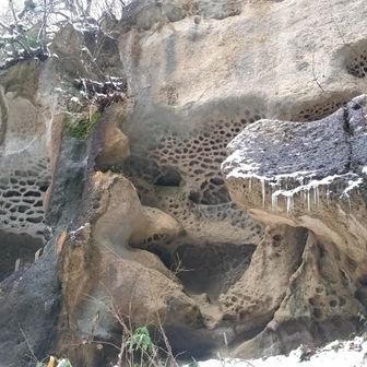 すぐ着きました！
すっご～い

初めて見ました。