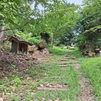 榎峠
10年程前だったか？台風で
この辺り一帯の杉木がなぎ倒され前進するのが不可能な程
酷かったです
石仏が安置されている屋根の1部に当時の凹みが見れますよ。