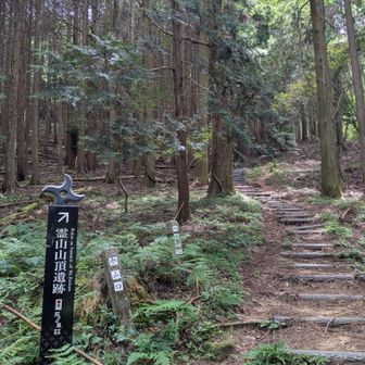 途中大きい蜂に長くマークされる😭
きっとあの蜂は偵察部隊で私が敵で無いかを確認してる
今日何にも被って無いから!?
やっぱり被り物で黒い髪の毛は隠さなアカン💦
じっと動かずやり過ごすのが正解らしいけど耐えるの無理😭
この後震える手で慌ててサンバイザーと手拭いほっかむり
