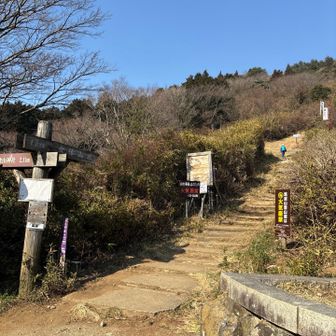 今日はここから