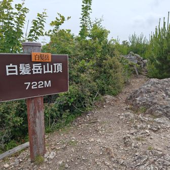山頂🙌