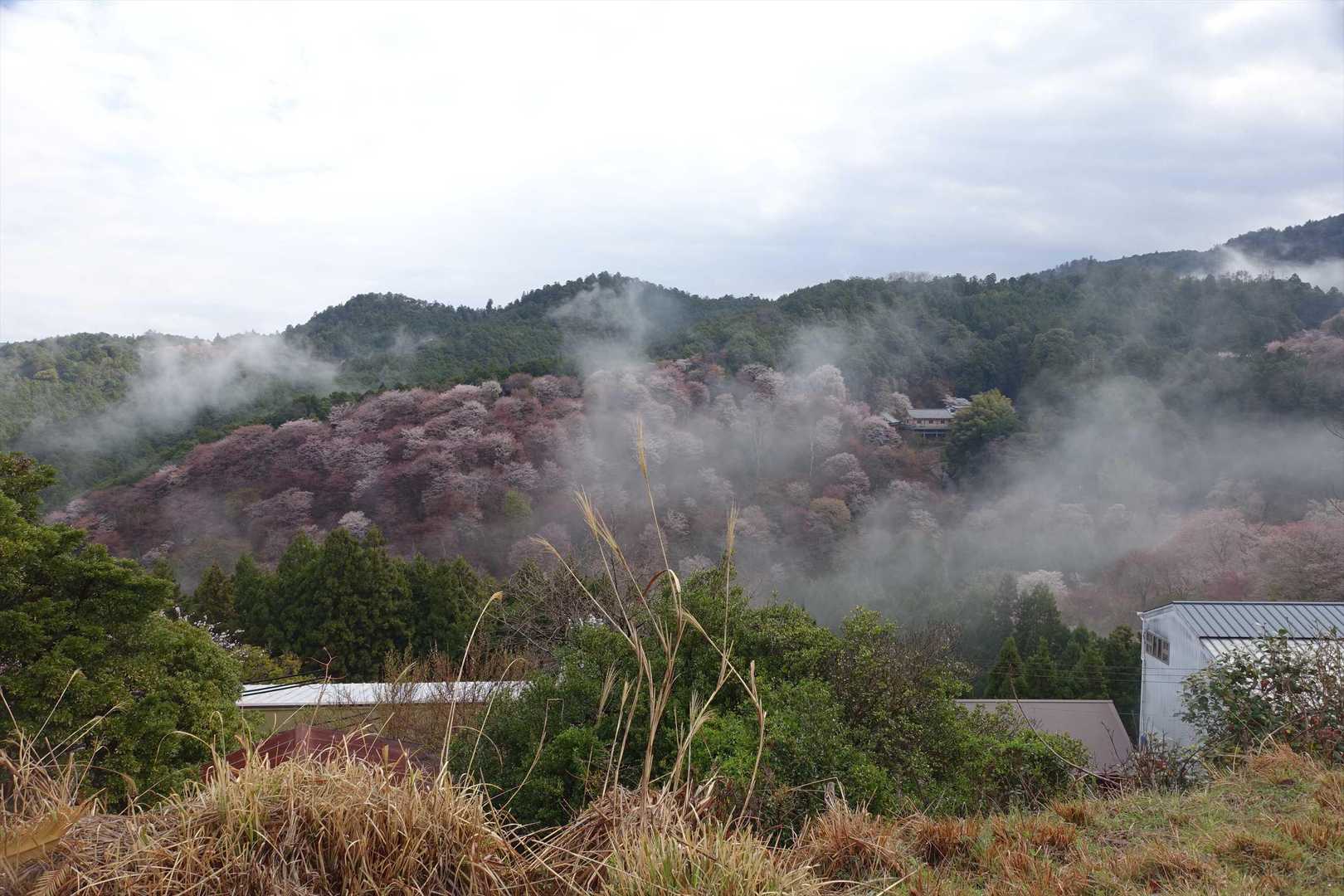 吉水神社-吉野水分神社-金峯神社-青根ヶ峰 縦走コースの写真