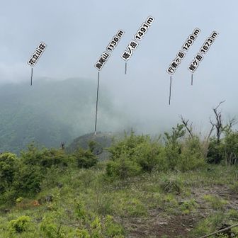 塔ノ岳はいずこ？