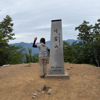 川苔山