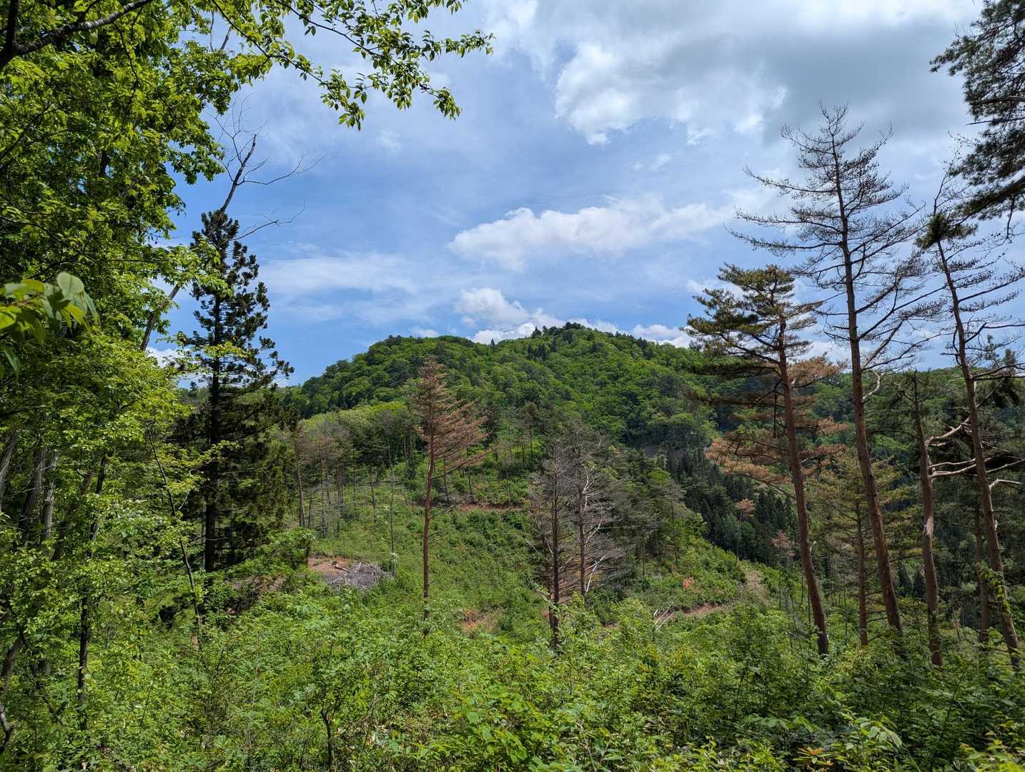 そのまま葉山へ向かいます