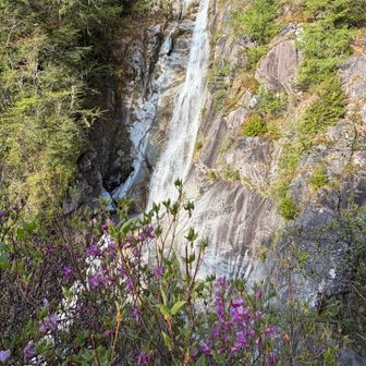 白糸の滝