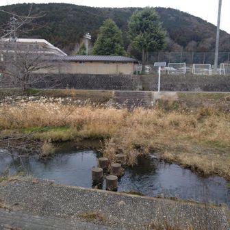 鴨川っぽいところ