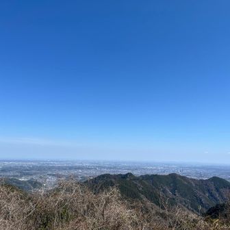 見晴らしサイコー