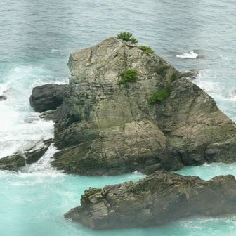南側海岸