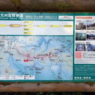 案内板ですね。