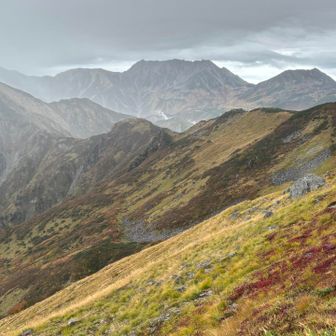 立山まで行きたかったなー！
