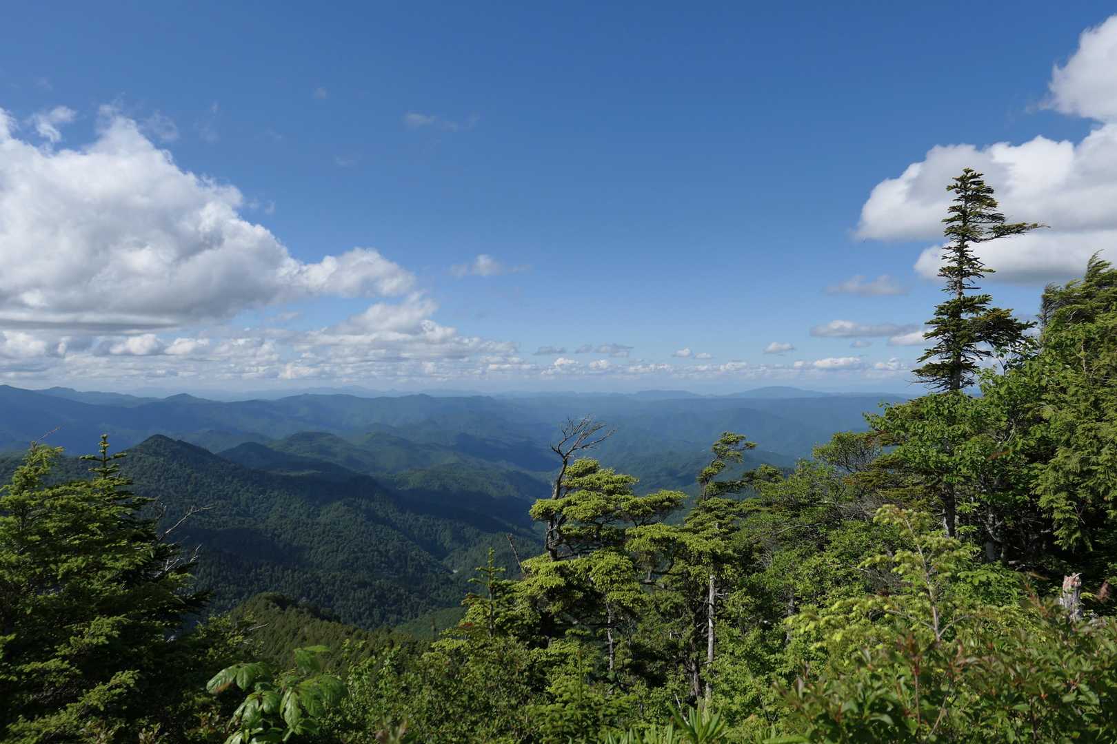馬坂峠登山口-台倉高山-帝釈山-田代山 周回コースの写真