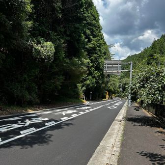 県道歩き🚶‍♀️

ひたすら歩いてたら、どこかで入るところを通り過ぎてしまった😭