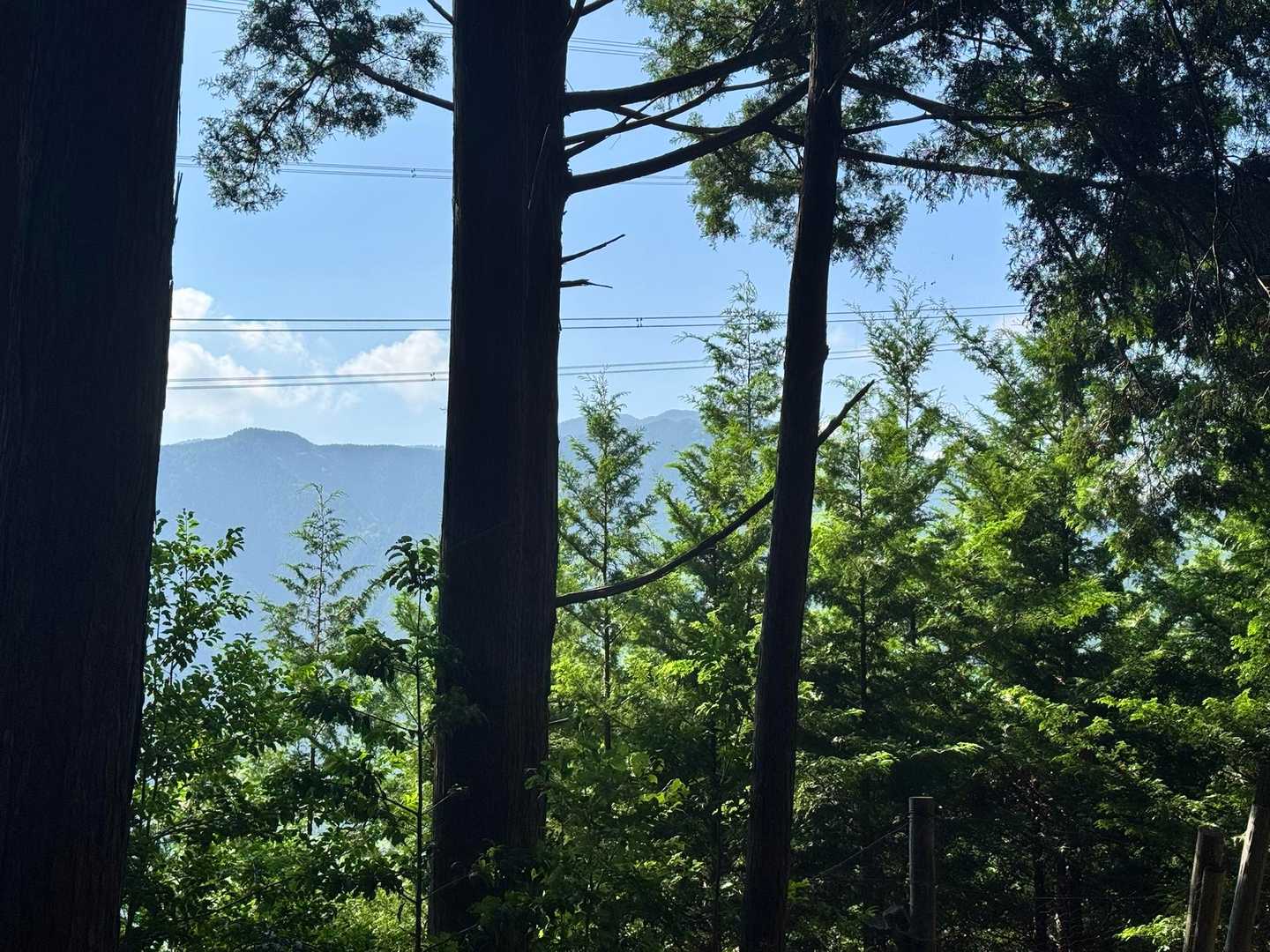 正面に奥駈道の四寸岩山　🙏