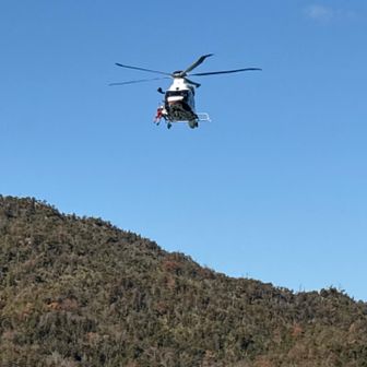 訓練やってます