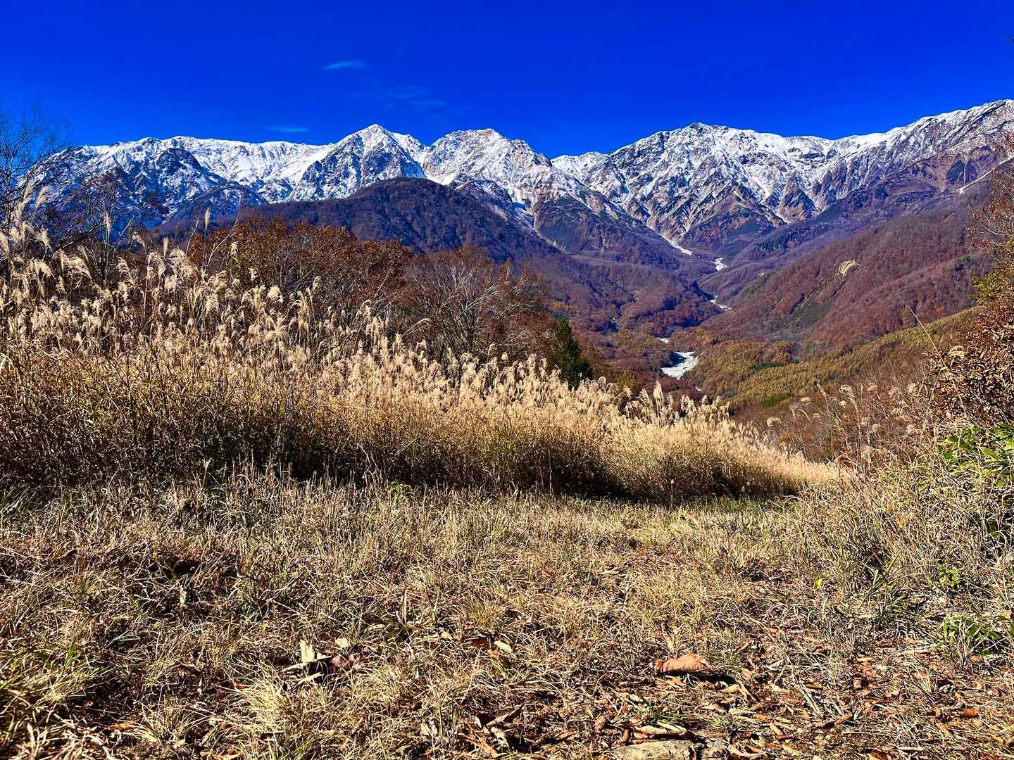 白馬岩岳マウンテンリゾートバス停-岩蕈山 縦走コースの写真