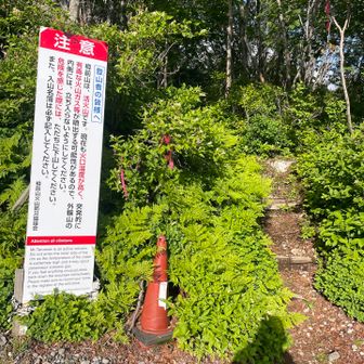 お花畑コースからスタート🫡