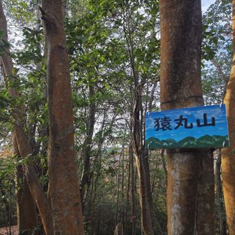 "奥山に　紅葉踏み分け　鳴く鹿の
声聞くときぞ　秋は悲しき"