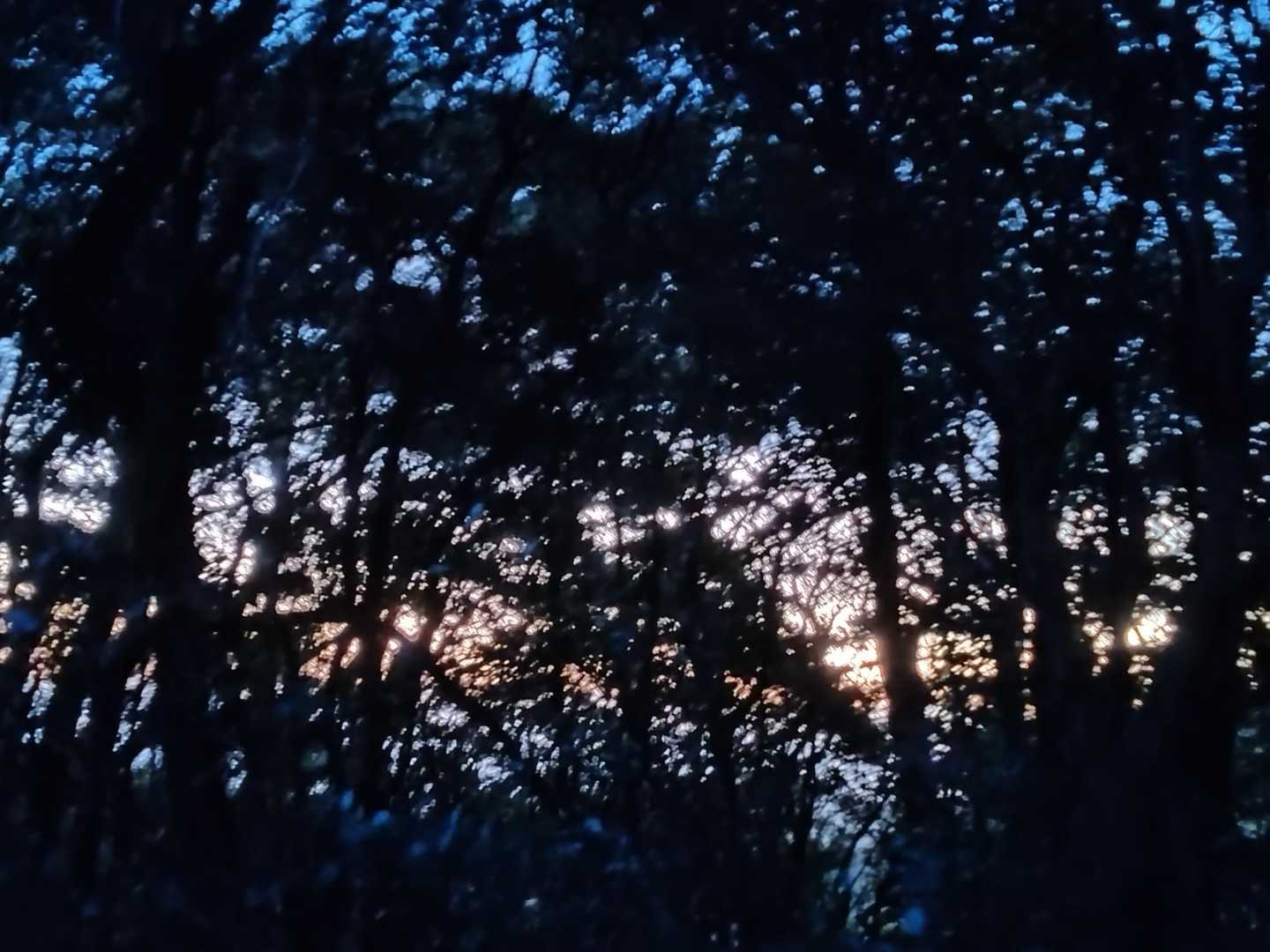 夜と朝の混ざった空の色