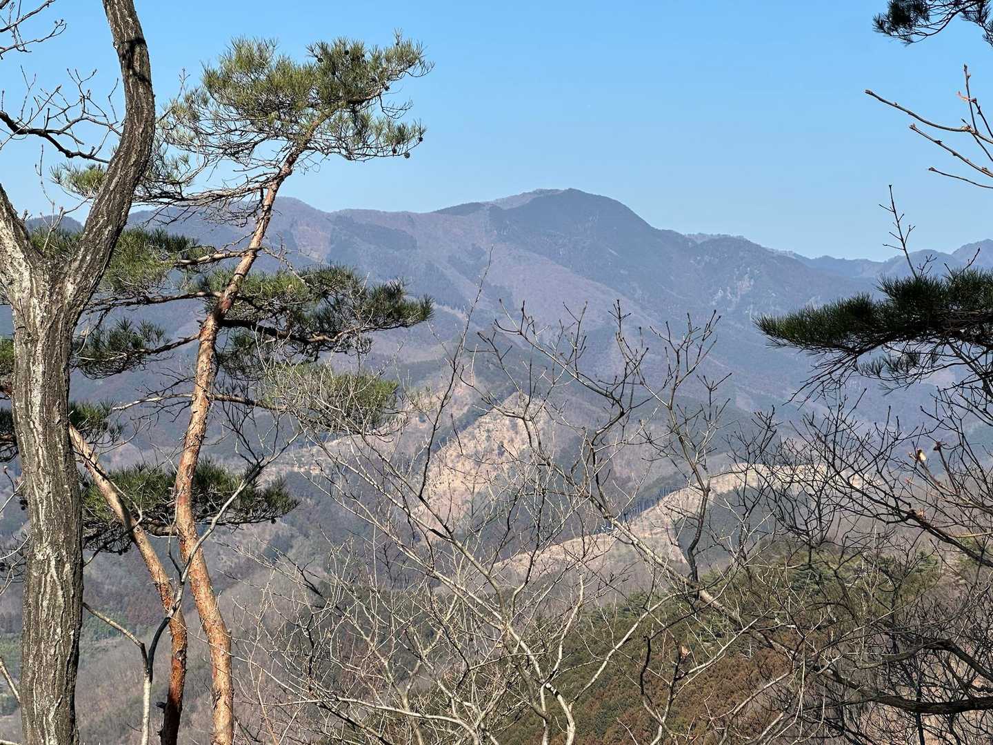 鳴神山👍