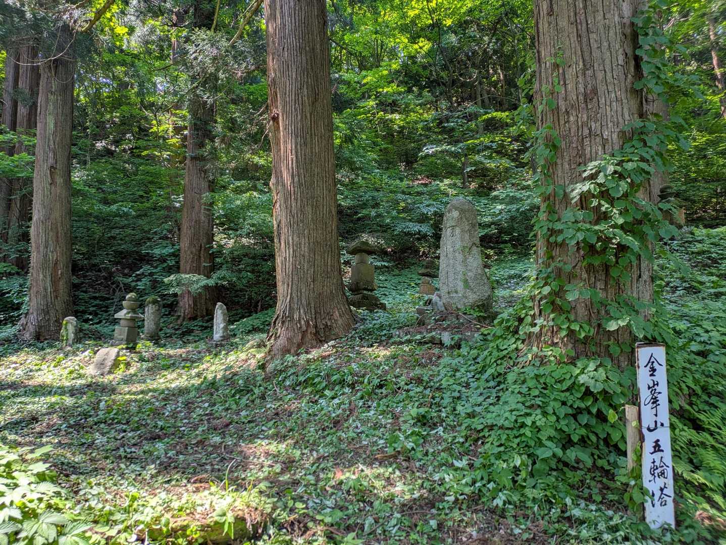 この他にも苔付きの石碑が沢山。