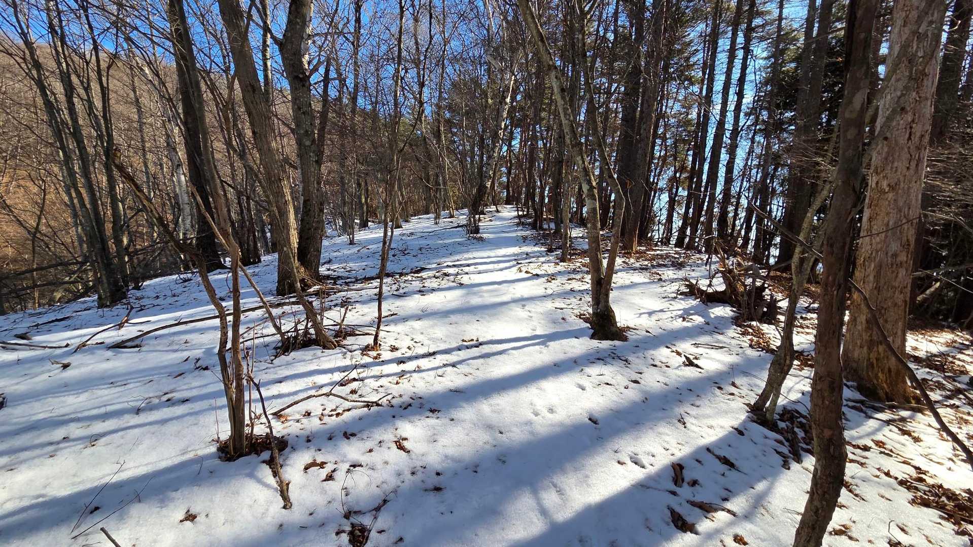 雪☃️だ