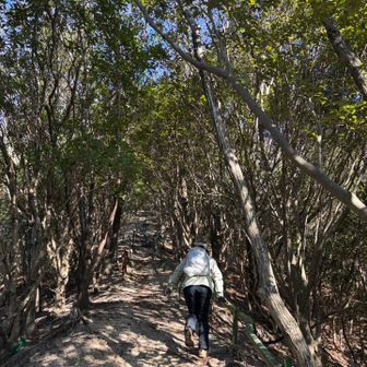 緑のは配水管？？