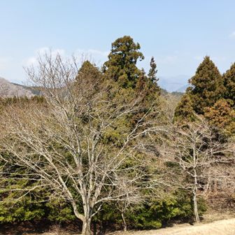 イモジ山GPSバグっててここらへんであっちいったりこっちいったりしてた🚶