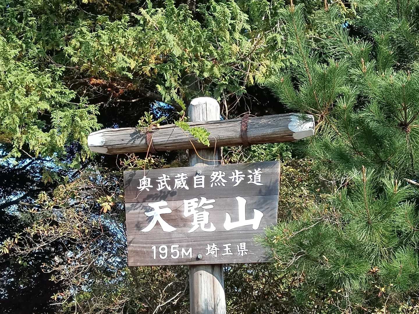 苦難を乗り越え、天覧山到着❗
（山歩の感覚無し💧）