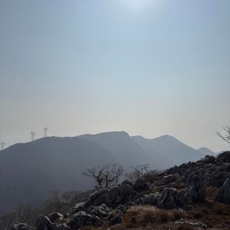 東ボタンブチ付近に到着
藤原岳・天狗岩・頭蛇ヶ平の藤原三兄弟を眺望