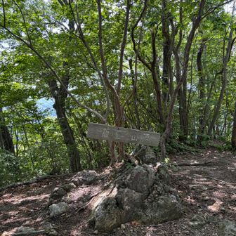 急登超えて到着⛰️
このあとの下りも急で苦手です。
今日もやっぱり尻もちつきました⤵︎