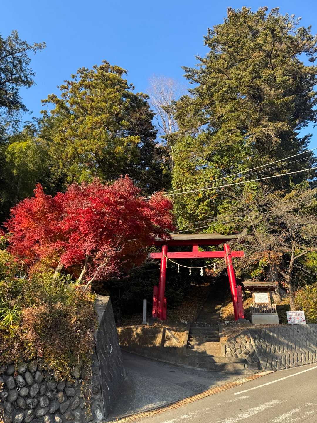 犬目バス停-扇山-大久保山-長尾峰-コタラ山-百蔵山-百蔵 縦走コースの写真