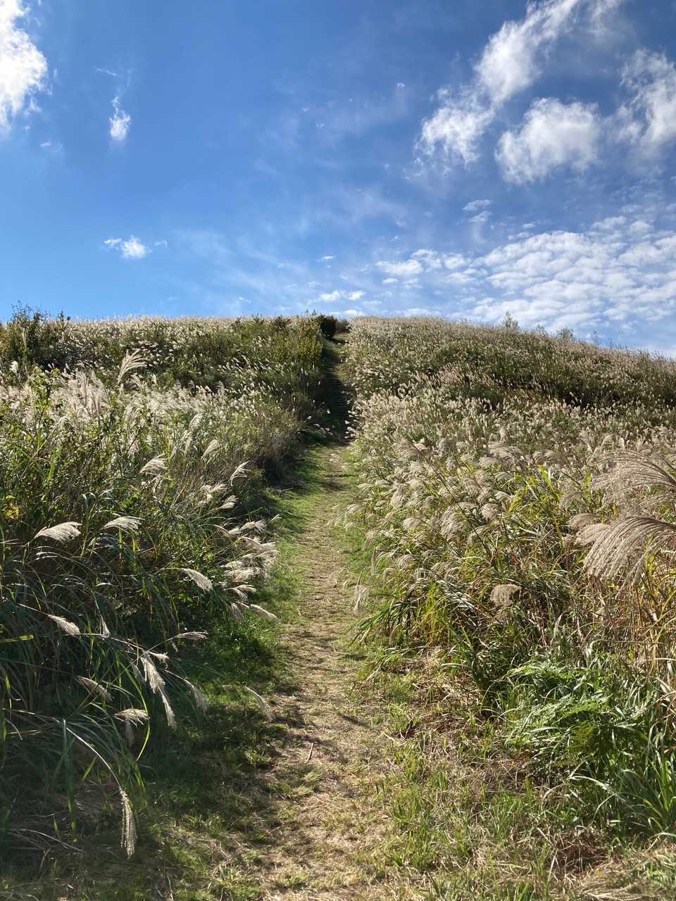 下山します。
振り返って山頂