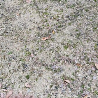 ゴール　1本34分
元気な状態でもせめてみたい( ´∀｀)