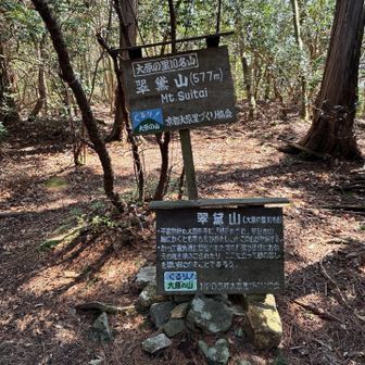 【翆黛山】山頂
今日はここで初めて1人の男性とスライド
同じルートでもお互い反対向きでした😆
